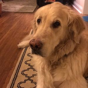 Meet your Posher, Mary